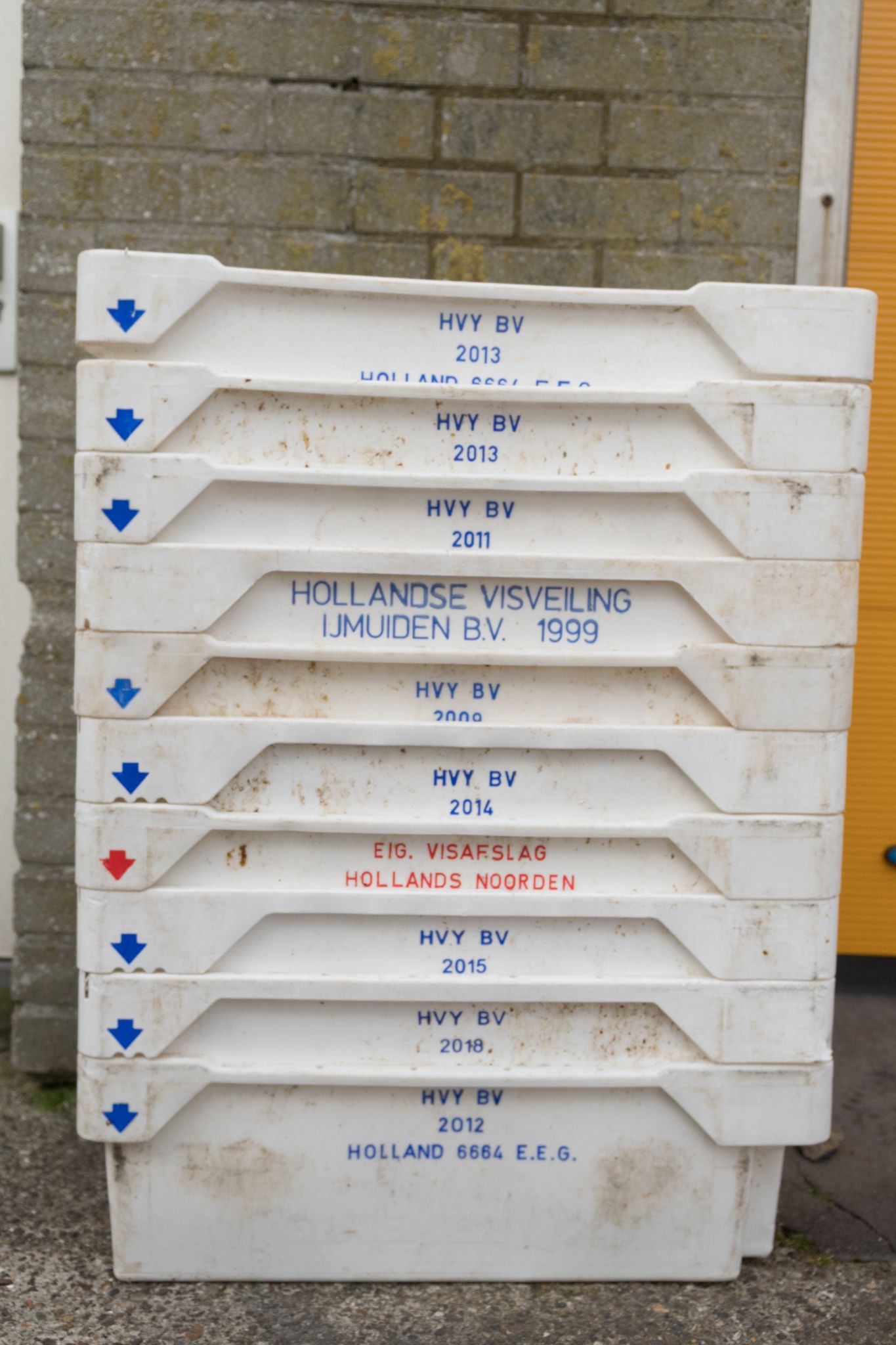 20230304   Fotoshoot IJmuiden   027